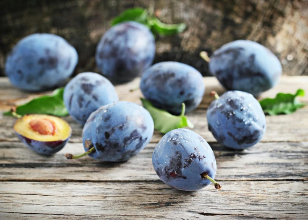 All that you need to know about the benefits of plums for your health ...