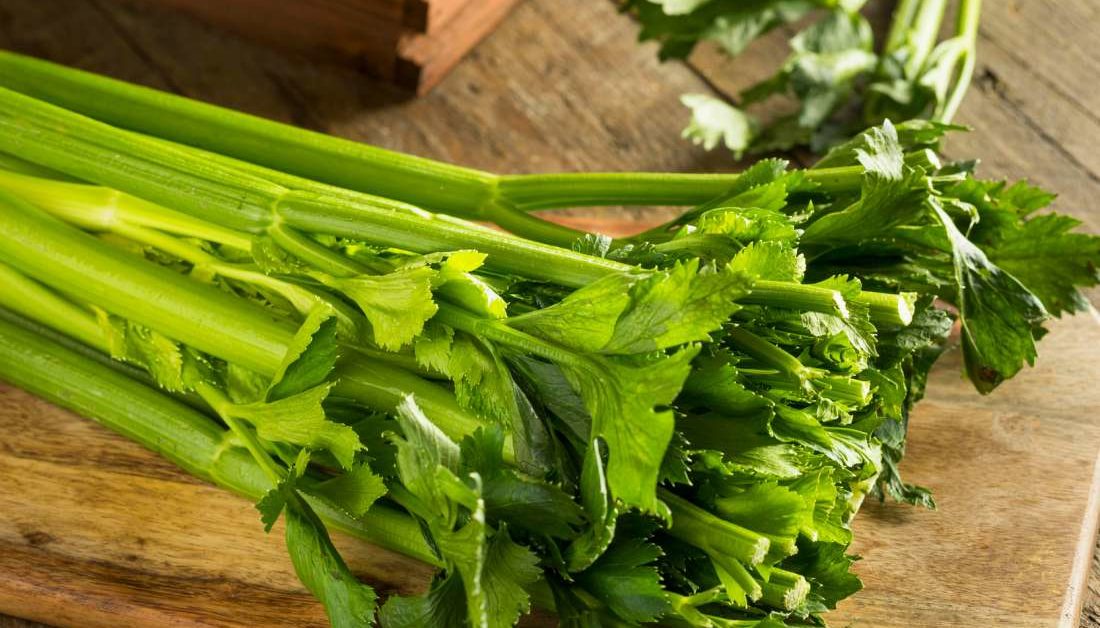 Who should eat celery?
